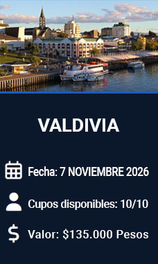 Curso AutoCAD Valdivia